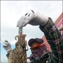 이가쭈꾸미 이미지