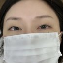 라니브로우 | 왕십리 속눈썹 , 여브로우 다녀온 후기!