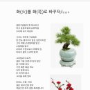 화(花) - 홍성군 | 화(花)