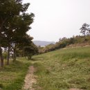 유채와바다 이미지