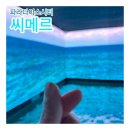 시티스포츠클럽 | 영종도 호캉스 파라다이스시티 씨메르 힐링 스파 찜질방 이용 후기