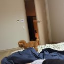 수진노래주점 | 여름이닷 나의 유월