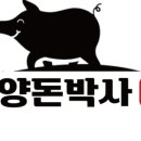 총알돼지 이미지