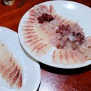 돌돔천국