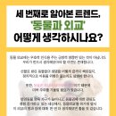 냥냥이세상 네이버블로그