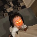 도쿄 3박4일 여행 2일차｜신바시역 다이이치 호텔 체크인 후 오다이바 나들이, 팀랩 플래닛 관람 후기