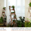 순수공간 이미지