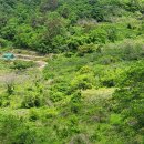 주영부동산공인중개사사무소 이미지