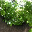 청마기념관 이미지