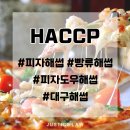 도우 행정사사무소 이미지