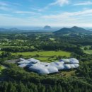 제주포도 이미지