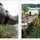 늘품농장 이미지