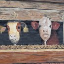 삼성동(북부교) 이미지