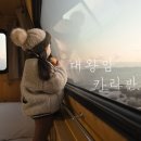 파파컵스 | 울산 대왕암 카라반 , 바다보며 1박2일