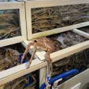 풍성한할인마트 이미지