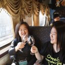 3050 ♥싱글모임 싱글여행 동호회 열차 타고 떠나는 와인 여행, 치얼스 샤또마니! 영동 와인트레인 이미지