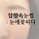 눈에꽃피다 네이버블로그