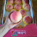 명전 농장 이미지