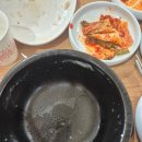 감나무식당 | [양양 맛집] 인생 황태국밥을 만나다! ‘감나무 식당’내돈내산 솔직 후기 🍲