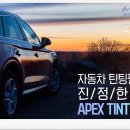 에이펙스글로벌 이미지