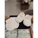 강남-081 이미지