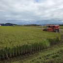 친들쌀 판매 합니다 이미지