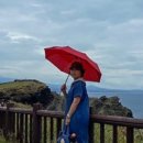 카페바라기 이미지