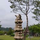 공존2000613 이미지