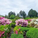 팜파스펜션 이미지