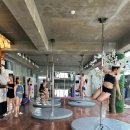 싸부와 라인댄스(입문반) | 입문부터 고급까지 레벨별로 촘촘한 커리큘럼 오하운폴댄스학원 강남점