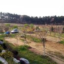 [오토캠핑]여주 인디언캠핑장(130427)