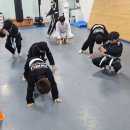 강류합기도 목동도장 이미지