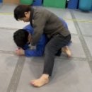 팀왕호 이미지
