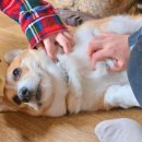 무주농협주유소 이미지