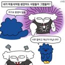 한타광영대리점카센타 | 신차 구매 후기(1) 차량 선택, 기아 대리점 방문