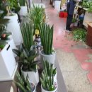 초원꽃집 이미지