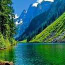 자연과 건강 이미지