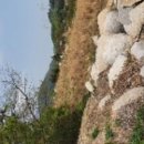 하장안마을회관 이미지