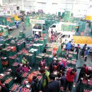 안동청과 이미지