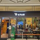 고속터미널 | [슈가스컬] 강남 고속터미널 멕시칸 식당 후기
