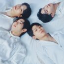 샤인정보 이미지
