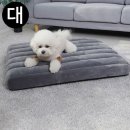 쿠쿠스 이미지