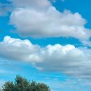 모산골어린이공원 이미지