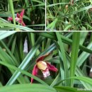 농민농약사 이미지