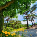 너와나식당 - 창원시 성산구 | 너와나식당