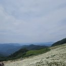 강원도평창 청옥산(1225.7m)육백마지기~~3 이미지