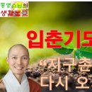 동명자락