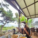 세븐일레븐 부산송정해변점 | [부산 해운대] 어밤부 송정본점 - 태국음식송정맛집, 웨이팅방법, 주차정보