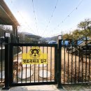 펫트리파크 펜션 | 충주애견동반숙소 캠핑장 펫트리파크 재방문 후기