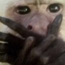 포토하우스 - 안동시 논골길 37 | 포토하우스